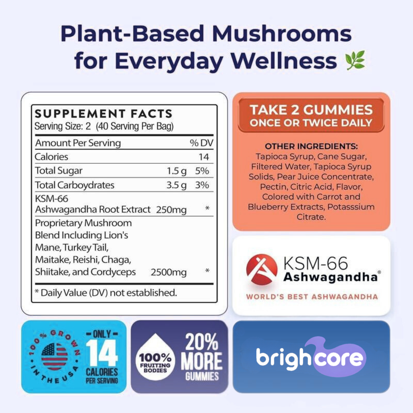 Brain Boost Mushroom Gummies
