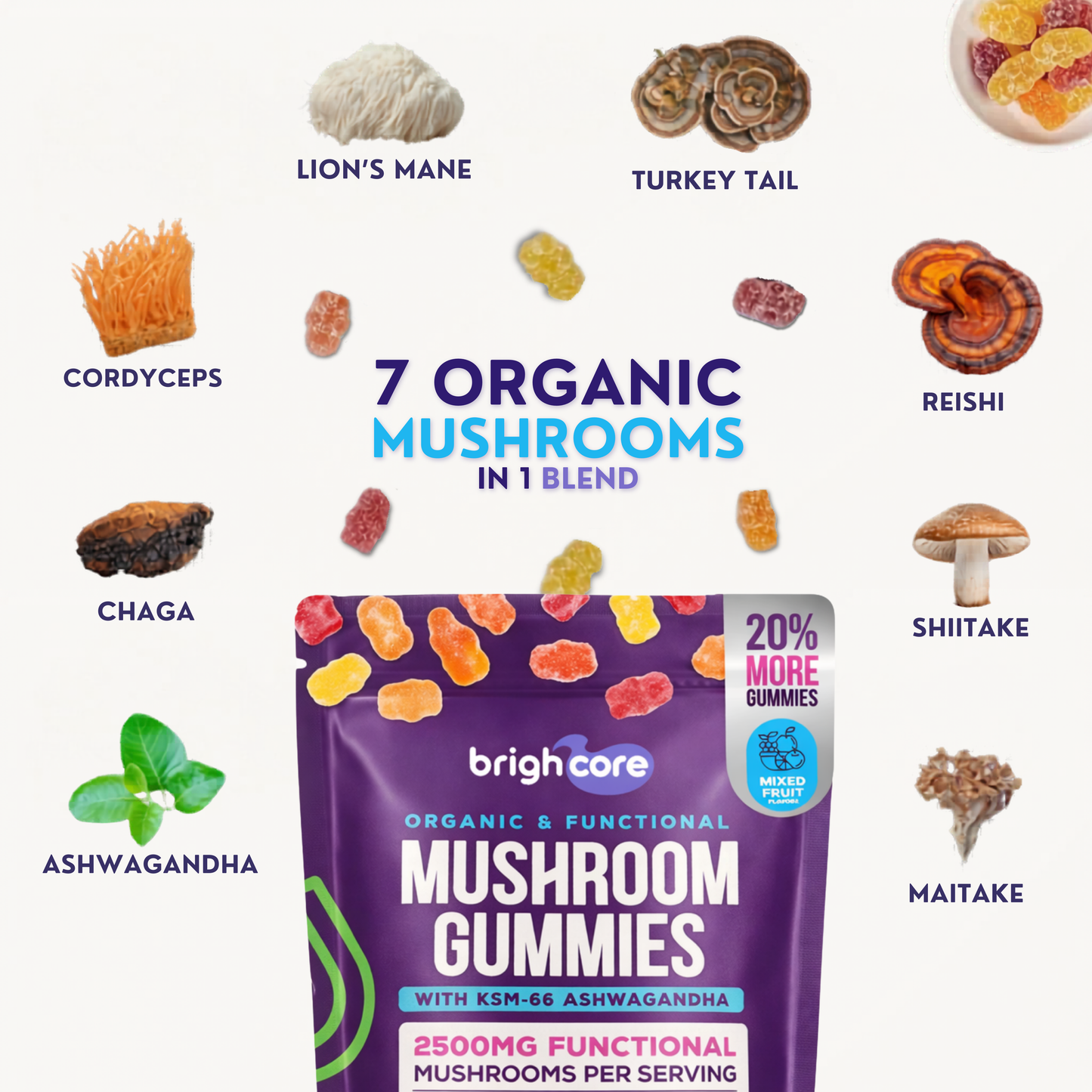 Brain Boost Mushroom Gummies