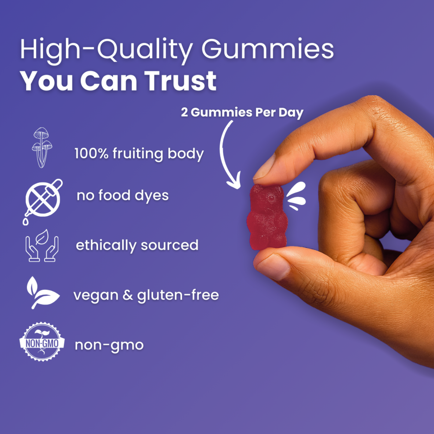 Brain Boost Mushroom Gummies